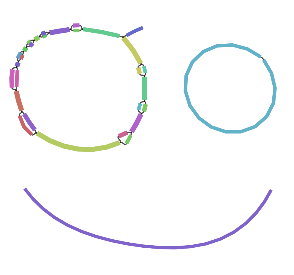 A smiley face formed by colourful genomic graph segments, with two circular eyes and a curved purple smile.