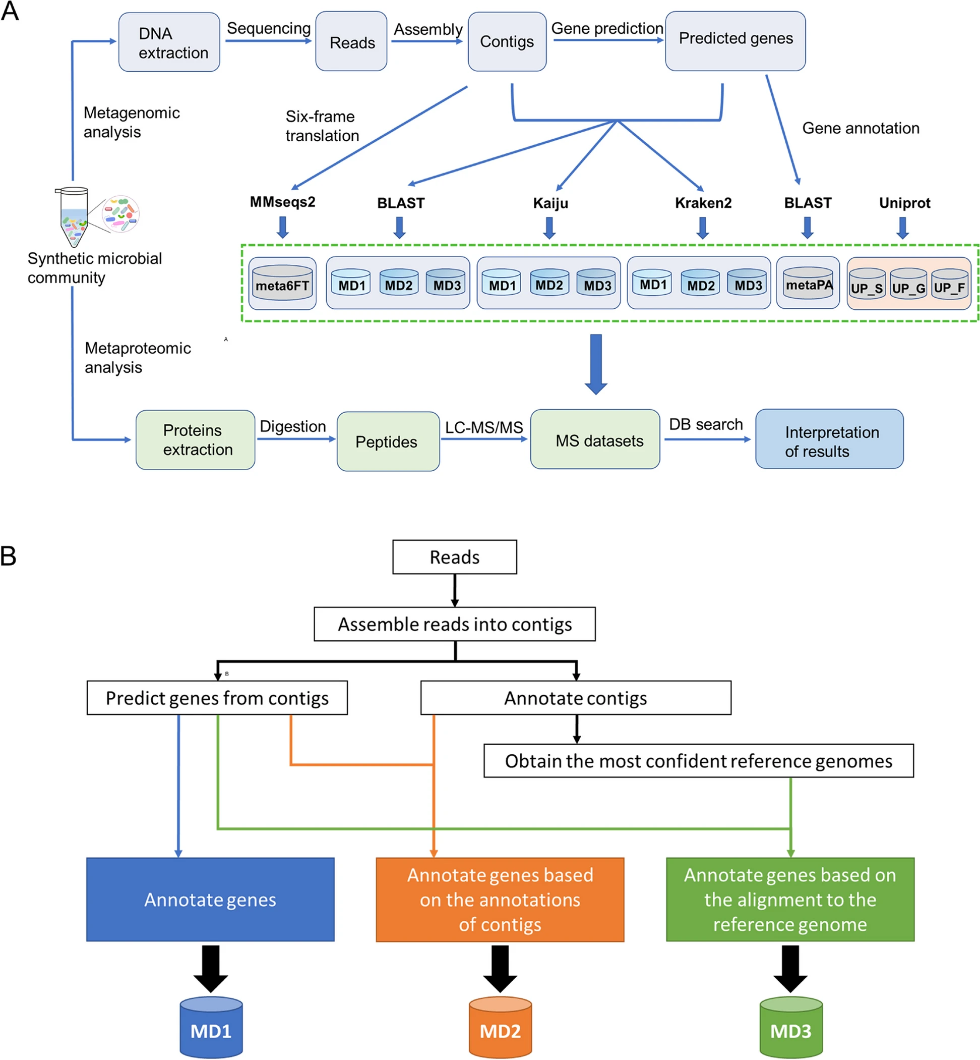 ConDiGA taxonomic annotation and metaproteomics workflow overview