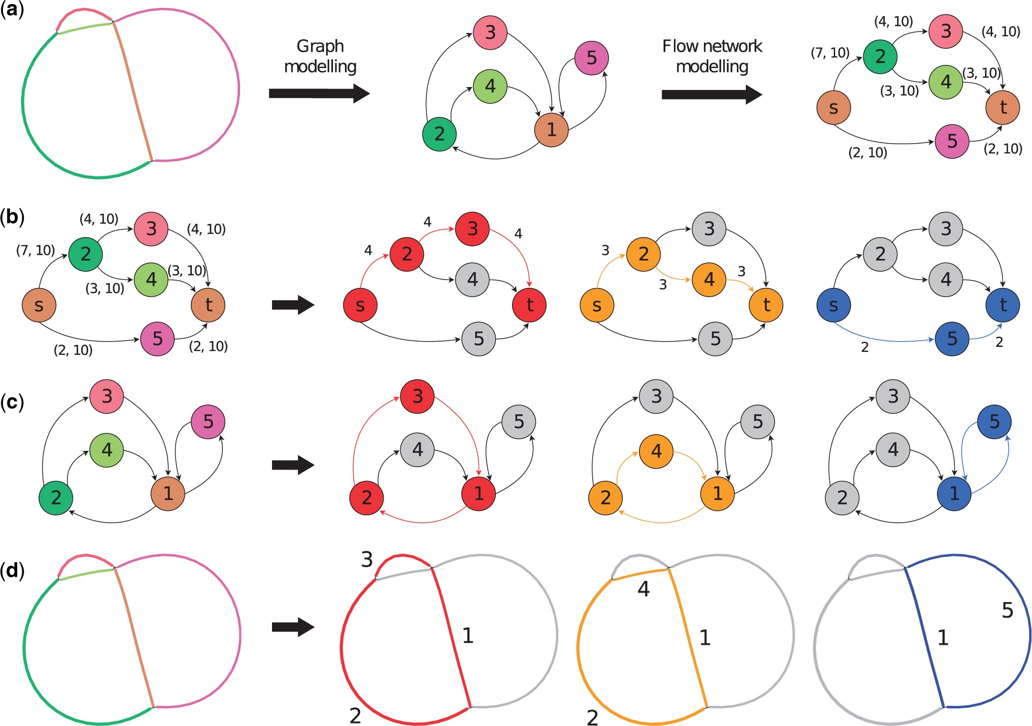 Phables workflow and bacteriophage genome reconstruction overview