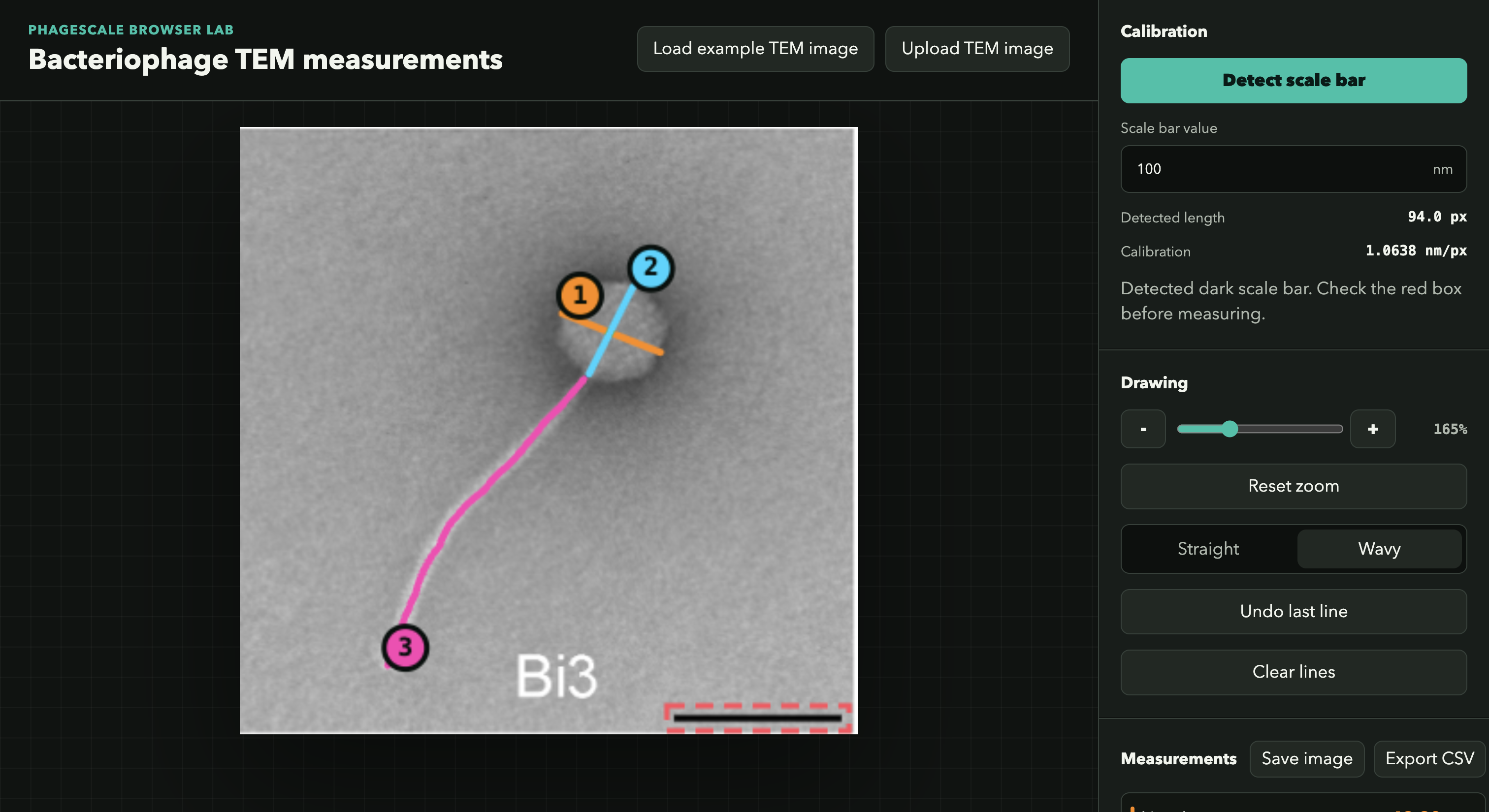 PhageScale web application thumbnail