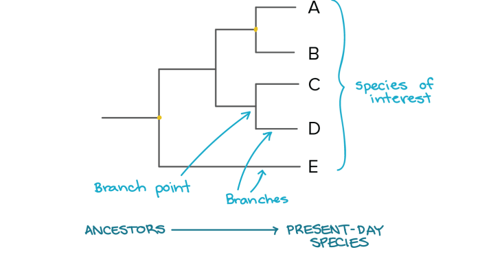 6a7912e4f113f2e0dde68a8292aa06170e1cff00