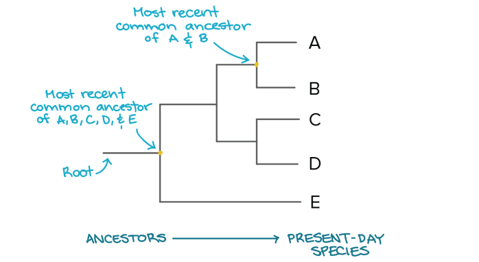 aa95c701ebf845d93fed8362da63cbcc8439fb31